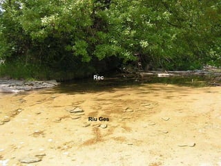 Riu Ges Rec 