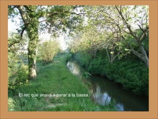 El rec que anava a parar a la bassa. 