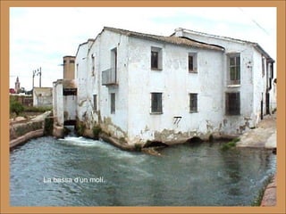 La bassa d’un molí. 