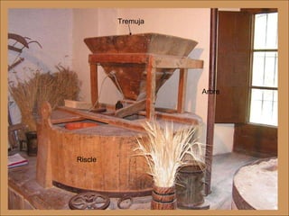 Tremuja Riscle Arbre 