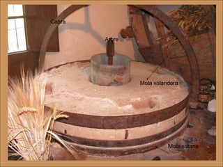 Mola volandera Cabra Arbre Mola sotana 