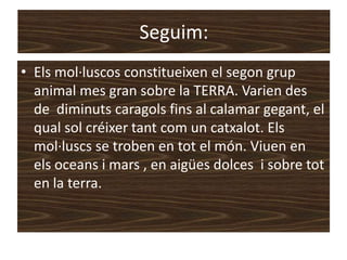 Seguim:
• Els mol·luscos constitueixen el segon grup
  animal mes gran sobre la TERRA. Varien des
  de diminuts caragols fins al calamar gegant, el
  qual sol créixer tant com un catxalot. Els
  mol·luscs se troben en tot el món. Viuen en
  els oceans i mars , en aigües dolces i sobre tot
  en la terra.
 