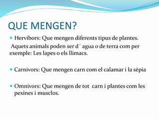 QUE MENGEN?
 Hervibors: Que mengen diferents tipus de plantes.
Aquets animals poden ser d´ agua o de terra com per
exemple: Les lapes o els llimacs.
 Carnivors: Que mengen carn com el calamar i la sèpia
 Omnivors: Que mengen de tot carn i plantes com les
pexines i musclos.
 