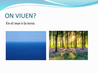 ON VIUEN?
En el mar o la terra
 