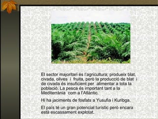 El sector majoritari és l’agricultura; produeix blat, civada, olives  i  fruita, però la producció de blat  i de civada és insuficient per  alimentar a tota la població. La pesca és important tant a la Mediterrània  com a l’Atlàntic. Hi ha jaciments de fosfats a Yusufia i Kuribga.  El país té un gran potencial turístic però encara està escassament explotat.   