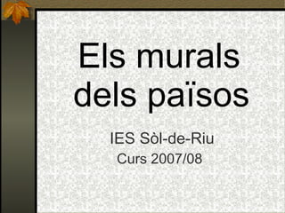Els murals  dels països   IES Sòl-de-Riu Curs 2007/08 
