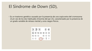 El Síndrome de Down (SD),
◦ Es un trastorno genético causado por la presencia de una copia extra del cromosoma
21,en vez de los dos habituales (trisomía del par 21), caracterizado por la presencia de
un grado variable de retraso mental y unos rasgos físicos.
 