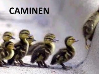 CAMINEN
 