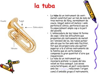 la tuba La  tuba  és un instrument de vent-metall constituït per un tub de més de tres metres de llarg, normalment de coure, blegat sobre ell mateix i amb perforació cònica, perforació que es fa especialment ampla cap a la part del pavelló.  L'embocadura de les tubes té forma de copa i dins les dificultats que presenten els instruments de metall en l'emissió del so, les tubes potser són els que ho fan amb més facilitat, fet que els proporciona una agilitat superior a la d'altres instruments de la família que en certa manera compensa la gran quantitat d'aire que requereixen. La tuba és un instrument que incorpora pistons i a causa del seu volum es toca assegut. Les seves característiques, en part coincidents amb les  trompes , relacionen l'origen comú d'ambdós grups d'instruments.  