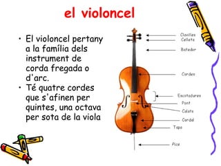 el violoncel El violoncel pertany a la família dels instrument de corda fregada o d'arc. Té quatre cordes que s'afinen per quintes, una octava per sota de la viola  