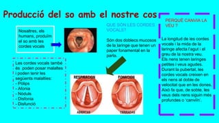 Producció del so amb el nostre cos
Nosaltres, els
humans, produïm
el so amb les
cordes vocals
QUE SÓN LES CORDES
VOCALS?
Són dos doblecs mucosos
de la laringe que tenen un
paper fonamental en la
parla.
La longitud de les cordes
vocals i la mida de la
laringe afecta l’agut i el
greu de la nostra veu.
Els nens tenen laringes
petites i veus agudes.
Durant la pubertat, les
cordes vocals creixen en
els nens al doble de
velocitat que en les dones.
Això fa que, de sobte, les
veus dels nens siguin més
profundes o ‘canviïn’.
PERQUÈ CANVIA LA
VEU ?
Les cordes vocals també
és poden posar malaltes
i poden tenir les
següents malalties:
- Pòlips
- Afonia
- Nòduls
- Disfonia
- Disfunció
 