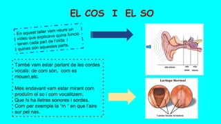 EL COS I EL SO
També vam estar parlant de les cordes
vocals: de com són, com es
mouen,etc.
Més endavant vam estar mirant com
produïm el so i com vocalitzem.
Que hi ha lletres sonores i sordes.
Com per exemple la “m “ en que l’aire
sur pel nas.
 