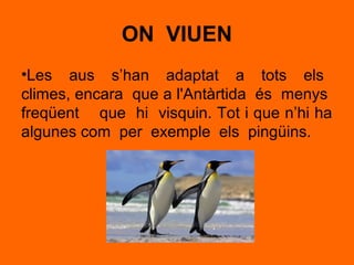 ON VIUEN
•Les aus s’han adaptat a tots els
climes, encara que a l'Antàrtida és menys
freqüent que hi visquin. Tot i que n’hi ha
algunes com per exemple els pingüins.
 