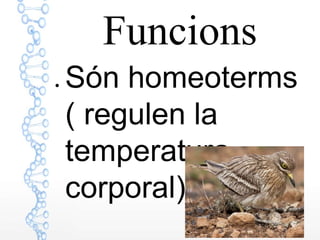 Funcions
● Són homeoterms
( regulen la
temperatura
corporal)
 