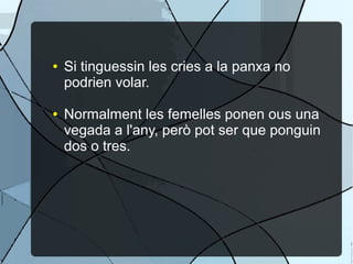 ● Si tinguessin les cries a la panxa no
podrien volar.
● Normalment les femelles ponen ous una
vegada a l'any, però pot ser que ponguin
dos o tres.
 