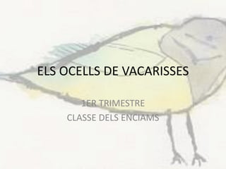 ELS OCELLS DE VACARISSES

       1ER TRIMESTRE
    CLASSE DELS ENCIAMS
 