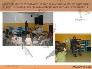 VAN VEURE MOLTES FOTOGRAFIES I EL PACO EL SVA EXPLICAR MOLTES COSES SOBRE
 ELS OCELLS. TAMBÉ ELS VA DIR ALGUNS SECRETS PER RECONÈIXER TIPIS D’OCELLS.




                                                            COMPRENSIÓ ORAL
 