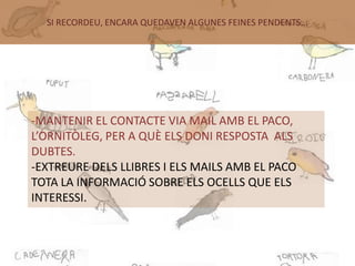SI RECORDEU, ENCARA QUEDAVEN ALGUNES FEINES PENDENTS...




-MANTENIR EL CONTACTE VIA MAIL AMB EL PACO,
L’ORNITÒLEG, PER A QUÈ ELS DONI RESPOSTA ALS
DUBTES.
-EXTREURE DELS LLIBRES I ELS MAILS AMB EL PACO
TOTA LA INFORMACIÓ SOBRE ELS OCELLS QUE ELS
INTERESSI.
 