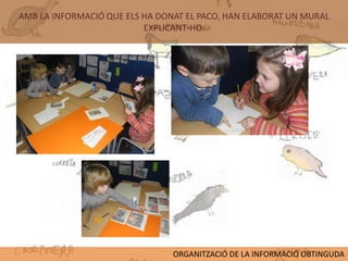AMB LA INFORMACIÓ QUE ELS HA DONAT EL PACO, HAN ELABORAT UN MURAL
                          EXPLICANT-HO.




                                ORGANITZACIÓ DE LA INFORMACIÓ OBTINGUDA
 