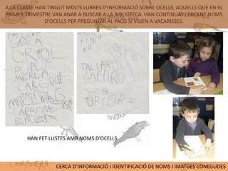 A LA CLASSE HAN TINGUT MOLTS LLIBRES D’INFORMACIÓ SOBRE OCELLS, AQUELLS QUE EN EL
PRIMER TRIMESTRE VAN ANAR A BUSCAR A LA BIBLIOTECA. HAN CONTINUAT CERCANT NOMS
               D’OCELLS PER PREGUNTAR AL PACO SI VIUEN A VACARISSES.




        HAN FET LLISTES AMB NOMS D’OCELLS



                  CERCA D’INFORMACIÓ I IDENTIFICACIÓ DE NOMS I IMATGES CONEGUDES
 