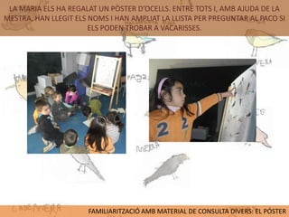 LA MARIA ELS HA REGALAT UN PÒSTER D’OCELLS. ENTRE TOTS I, AMB AJUDA DE LA
MESTRA, HAN LLEGIT ELS NOMS I HAN AMPLIAT LA LLISTA PER PREGUNTAR AL PACO SI
                       ELS PODEN TROBAR A VACARISSES.




                      FAMILIARITZACIÓ AMB MATERIAL DE CONSULTA DIVERS: EL PÓSTER
 