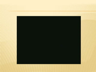 El software y el  hardware bb