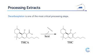Processing Extracts
Decarboxylation is one of the most critical processing steps.
O
OH
OH
O
O
OH
H
C
O
O
heat
THCA THC
 