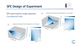 SFE Design of Experiment
SFE optimized for single separator
Cannabinoid Yield
 