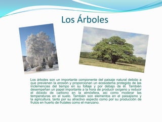 Los Árboles      Los árboles son un importante componente del paisaje natural debido a que previenen la erosión y proporcionan un ecosistema protegido de las inclemencias del tiempo en su follaje y por debajo de él. También desempeñan un papel importante a la hora de producir oxígeno y reducir el dióxido de carbono en la atmósfera, así como moderar las temperaturas en el suelo. También son elementos en el paisajismo y la agricultura, tanto por su atractivo aspecto como por su producción de frutos en huerto de frutales como el manzano.