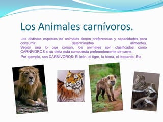 Los Animales carnívoros.     Los distintas especies de animales tienen preferencias y capacidades para consumir determinados alimentos.Según sea lo que coman, los animales son clasificados como CARNÍVOROS si su dieta está compuesta preferentemente de carne.     Por ejemplo, son CARNÍVOROS: El león, el tigre, la hiena, el leopardo. Etc