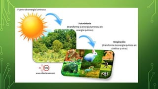 El sol como fuente de energía