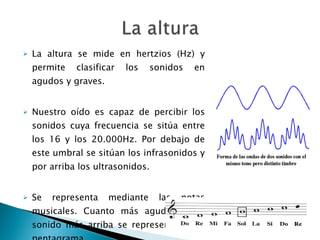 La altura se mide en hertzios (Hz) y permite clasificar los sonidos en agudos y graves. Nuestro oído es capaz de percibir los sonidos cuya frecuencia se sitúa entre los 16 y los 20.000Hz. Por debajo de este umbral se sitúan los infrasonidos y por arriba los ultrasonidos. Se representa mediante las notas musicales. Cuanto más agudo es un sonido más arriba se representa en el pentagrama. 