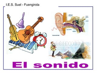 El sonido I.E.S. Suel - Fuengirola 