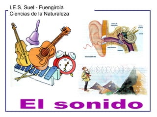 I.E.S. Suel - Fuengirola
Ciencias de la Naturaleza

 