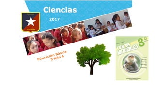 Ciencias
2017
 