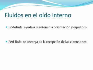 Fluidos en el oído interno
 Endolinfa: ayuda a mantener la orientación y equilibro.



 Peri linfa: se encarga de la recepción de las vibraciones
 