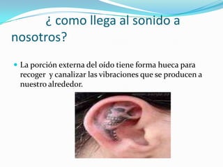 ¿ como llega al sonido a
nosotros?
 La porción externa del oído tiene forma hueca para
 recoger y canalizar las vibraciones que se producen a
 nuestro alrededor.
 