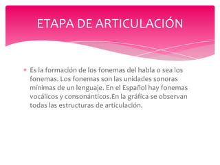 ETAPA DE ARTICULACIÓN

Es la formación de los fonemas del habla o sea los
fonemas. Los fonemas son las unidades sonoras
mínimas de un lenguaje. En el Español hay fonemas
vocálicos y consonánticos.En la gráfica se observan
todas las estructuras de articulación.

 