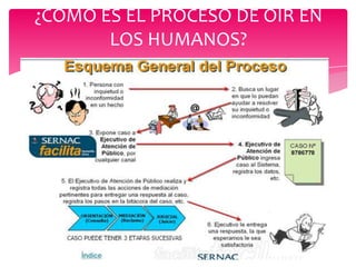 ¿CÓMO ES EL PROCESO DE OÍR EN
LOS HUMANOS?

 