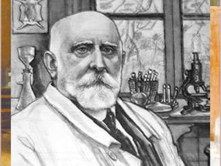 • Les investigacions bacteriològiques (la biomedicina de laboratori).
Des del començament del segle la química havia aclarit molts
processos. Es creia llavors que certa matèria orgànica es
descomponia per una reacció espontània. Pasteur va demostrar
que no podia podrir-se res sense la intrusió d’agents vius; moltes
matèries no es podrien si es mantenien en recipients esterilitzats,
protegits dels gèrmens transportats per l’aire. El descobriment dels
bacteris o gèrmens que provoquen la putrefacció va permetre a
Pasteur de combatre les malalties del cuc de seda i la fil·loxera dels
ceps. Pasteur va pensar que altres bacteris podien ser la causa de
les malalties de l’home. Les seves recerques i els progressos dels
microscopis li van permetre d’aïllar el virus de la ràbia i d’elaborar
posteriorment la vacuna antiràbica. Uns anys després, Robert Koch
va continuar les investigacions bacteriològiques amb l’estudi del
bacteri provocador del còlera, la malaltia més temuda durant el
segle XIX. Però la seva aportació més important per a la medicina és
el descobriment del bacil causant de la tuberculosi. Pasteur, Koch o
el català Jaume Ferran, que va elaborar vacunes contra el còlera i
el tifus, van fer anar endavant la medicina i van contribuir de
manera radical a millorar la vida de l’home.
 