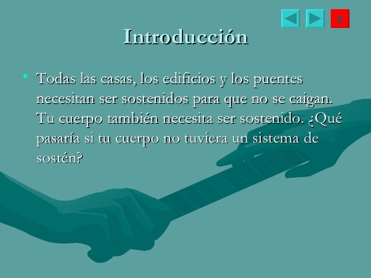 Que Pasaria Si No Tuvieramos Sistema Nervioso