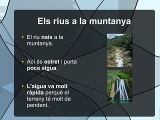 Els rius a la muntanya
●   El riu naix a la
    muntanya.


●   Ací és estret i porta
    poca aigua.


●   L'aigua va molt
    ràpida perquè el
    terreny té molt de
    pendent.
 
