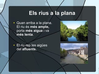Els rius a la plana
●   Quan arriba a la plana.
    El riu és més ample,
    porta més aigua i va
    més lenta.

●   El riu rep les aigües
    del afluents.
 