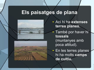 Els paisatges de plana
            ●   Ací hi ha extenses
                terres planes.
            ●   També por haver hi
                tossals
                (muntanyes amb
                poca altitud).
            ●   En les terres planes
                hi ha molts camps
                de cultiu.
 