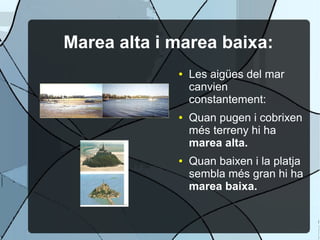 Marea alta i marea baixa:
             ●   Les aigües del mar
                 canvien
                 constantement:
             ●   Quan pugen i cobrixen
                 més terreny hi ha
                 marea alta.
             ●   Quan baixen i la platja
                 sembla més gran hi ha
                 marea baixa.
 