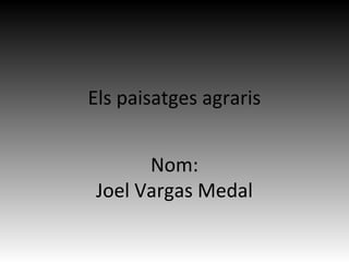Els paisatges agraris
Nom:
Joel Vargas Medal
 