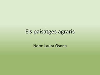 Els paisatges agraris
Nom: Laura Osona
 