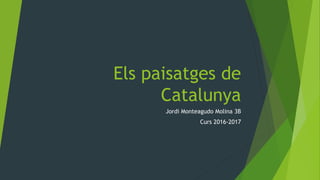 Els paisatges de
Catalunya
Jordi Monteagudo Molina 3B
Curs 2016-2017
 