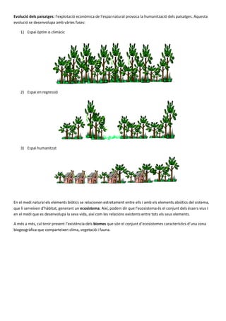 Evolució dels paisatges: l’explotació econòmica de l’espai natural provoca la humanització dels paisatges. Aquesta
evolució se desenvolupa amb vàries fases:

    1) Espai òptim o climàcic




    2) Espai en regressió




    3) Espai humanitzat




En el medi natural els elements biòtics se relacionen estretament entre ells i amb els elements abiòtics del sistema,
que li serveixen d’hàbitat, generant un ecosistema. Així, podem dir que l’ecosistema és el conjunt dels éssers vius i
en el medi que es desenvolupa la seva vida, així com les relacions existents entre tots els seus elements.

A més a més, cal tenir present l’existència dels biomes que són el conjunt d’ecosistemes característics d’una zona
biogeogràfica que comparteixen clima, vegetació i fauna.
 