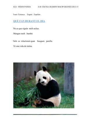 ELS OSSOS PANDA              3è B ESCOLA RAMON MACIP-GRANÉS 2012-13



Ivara Carrasco   Eugeni Ezpeleta


QUÈ FAN DURANT EL DIA

No es que siguin molt actius.

Mengen molt bambú


Sols es relacionen quan     busquen parella.

Té una vida de rutina.
 